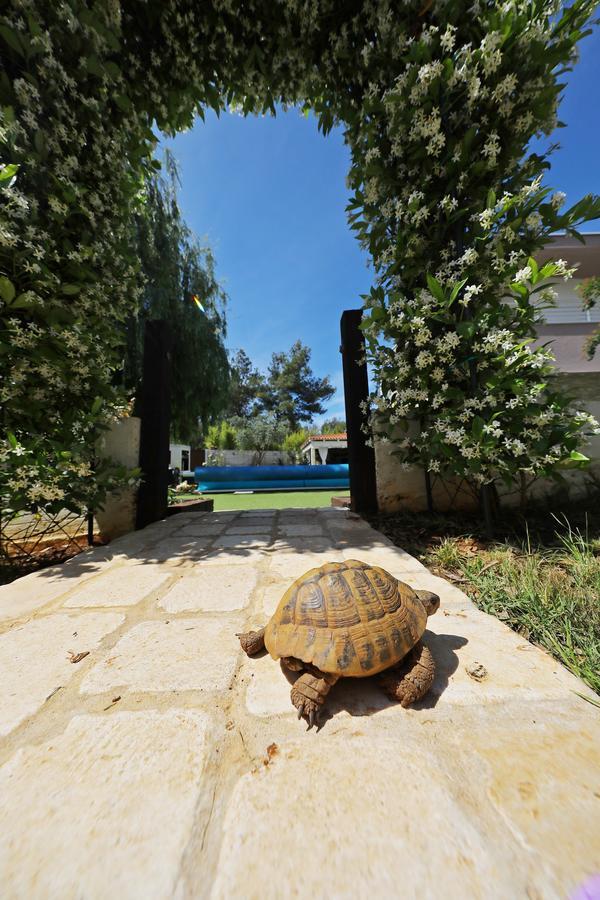 Apartments Mirakul Zadar Exterior foto